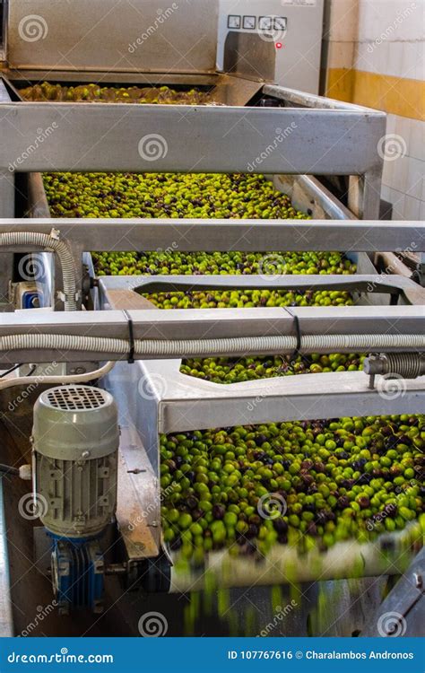 Olive Oil Extraction Process in an Olive Oil Press Mill in Greece Stock ...