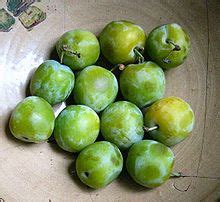 Greengage - Nutrition Facts, Health Benefits, Uses, Recipes