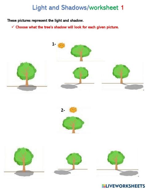 Explore Shadows A Worksheet For Understanding Light And Darkness