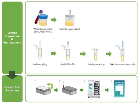 Exiprep™ 96 Genomic Dna Kit