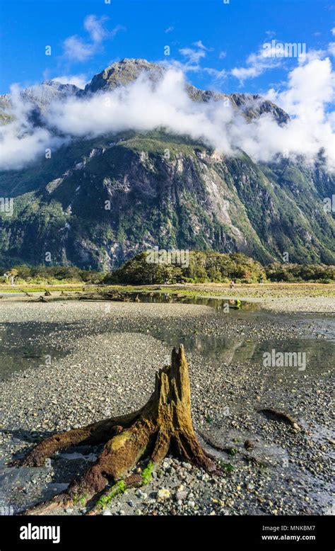 Milford Sound New Zealand Milford Sound Mitre Peak Fiordland National