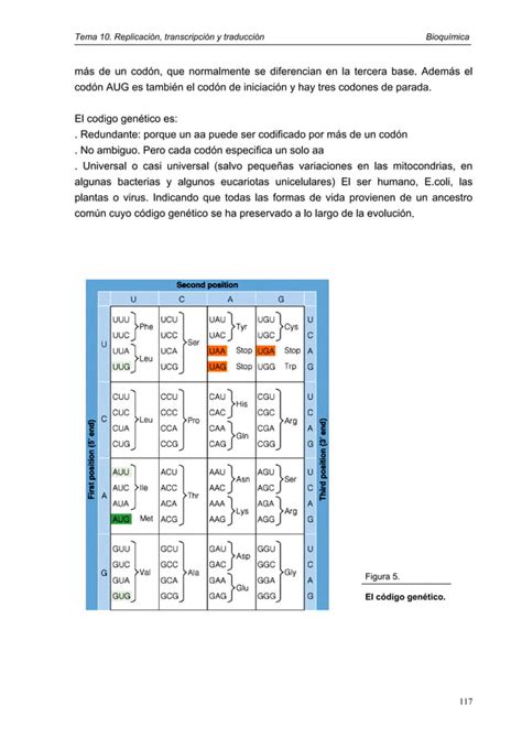 Tema 10 Replic Transc Traduc Pdf