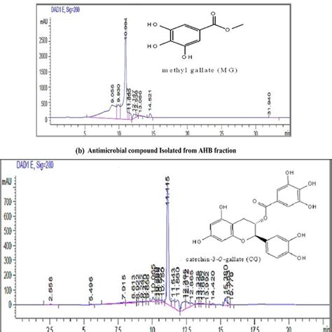 Molecular Docked Complex Of Methyl Gallate With Bacterial Cell Surface Download Scientific