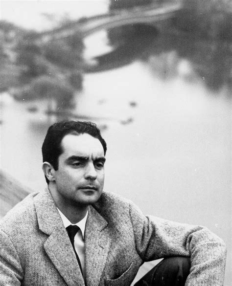 Italo Calvino Lo Scrittore Sugli Alberi Giornate Degli Autori