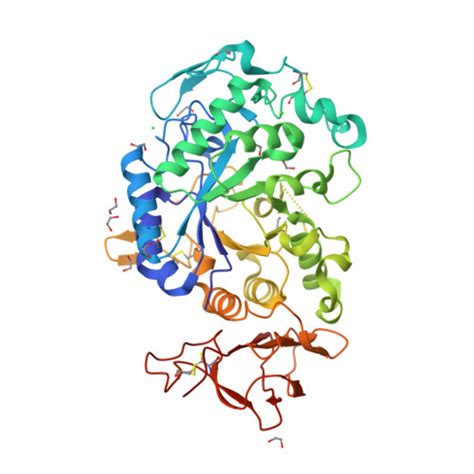 RCSB PDB 8CQG Crystal Structure Of A Chimeric Alpha Amylase From