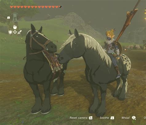 [TotK] All Wild Horse Colours for TOTK guide! : r/zelda