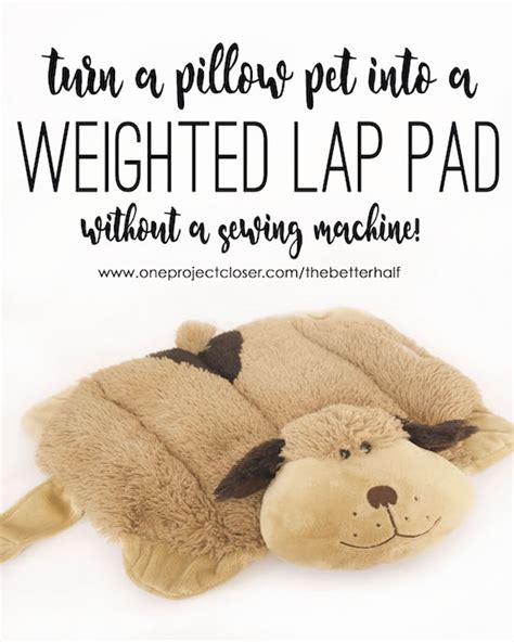 DIY Weighted Lap Pad Using a Pillow Pet!