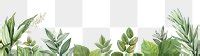 Tropical Botanic Leaves Background Illustration Premium PNG Rawpixel