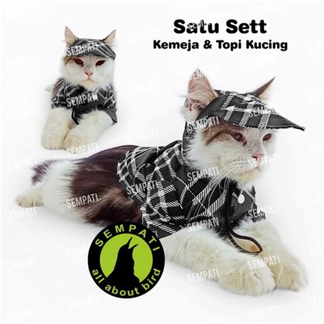 Jual Baju Kemeja Kucing Plus Topi Cat Clothes Shirt Bundle Pakaian