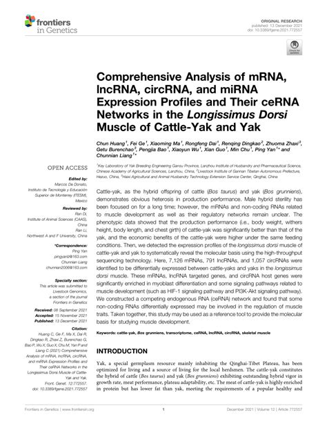 PDF Comprehensive Analysis Of MRNA LncRNA CircRNA And MiRNA