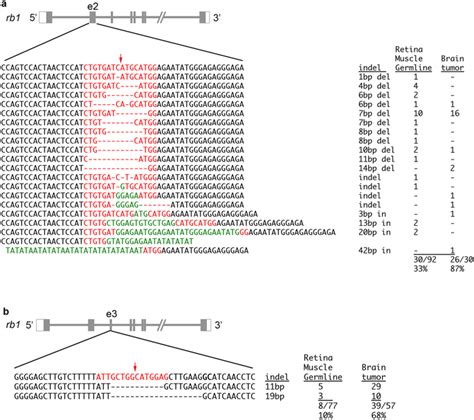 1 Mutant Alleles And Allele Frequencies In Somatic Germline And Tumor