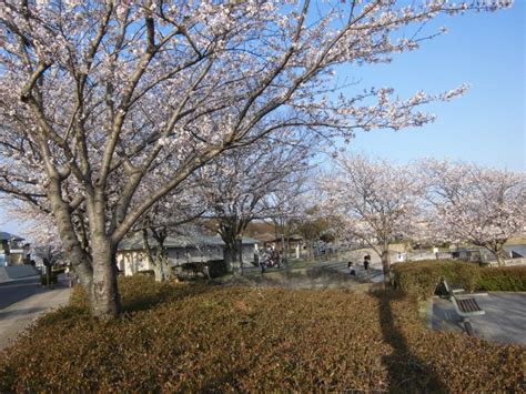 【井原堤水辺公園】アクセス・営業時間・料金情報 じゃらんnet