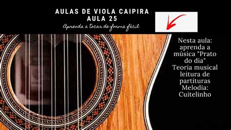 Curso De Viola Caipira Para Iniciantes Aula Youtube