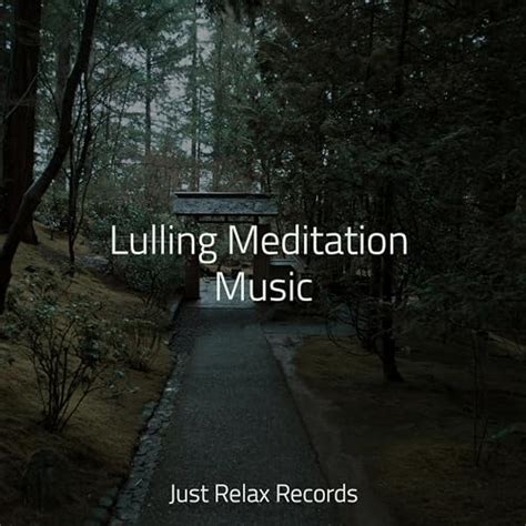 Lulling Meditation Music By Forest Sounds On Amazon Music Amazon Co Uk