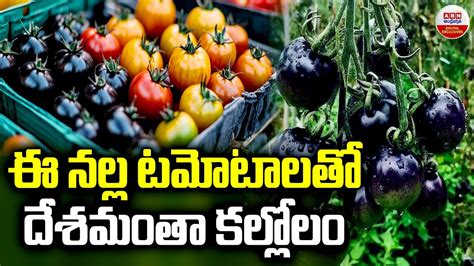 ఈ నలల టమటలత దశమత కలలల Advantages Of Having Black Tomatos