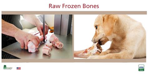 benefits   raw bone  dogs pet food guide