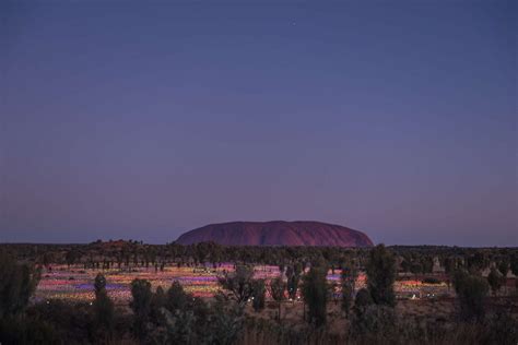 Field of Light Uluru - AliceSprings.com