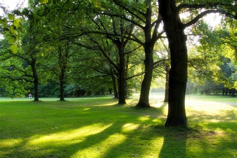 Visiter Berlin La Parenthèse Nature Vivre à Berlin