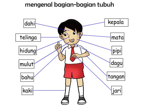 Pelajaran IPA SD Kelas 1 Mengenal Bagian Tubuh Manusia Pelajaran SD