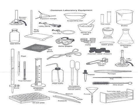 Lab Equipments Quiz Diagram | Quizlet