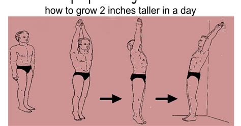 Tallertips360 Grow Taller Tips How To Grow 2 Inches Taller In A Day