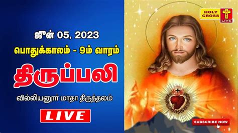 Live Daily Holy Mass June Villianur Lourdes Shrine