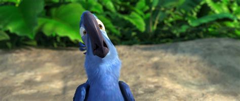 Blu the Macaw from the movie Rio Desktop Wallpaper