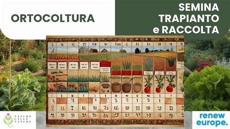 Orto Calendario Della Semina Trapianto Raccolta Guida Pratica All