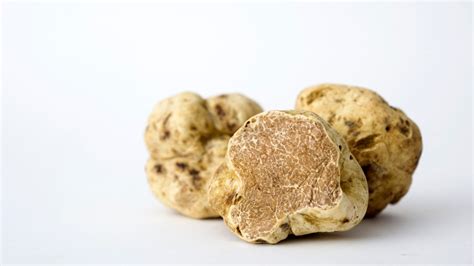 This Years White Truffle Yield Is Spectacular — And Reasonably Priced