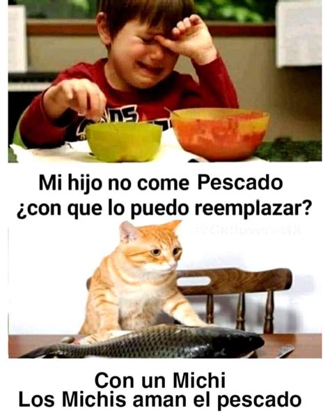 Mi Hijo No Come Pescado