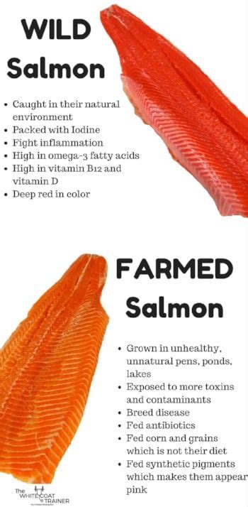 Farm Raised Salmon Offer Online | www.pinnaxis.com