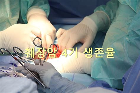 췌장암 4기 생존율과 췌장암 등통증 부위와 근육통 부위의 차이