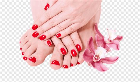 Pink Orchid Flowers On Person S Feet Manicure Pedicure Spa Massage