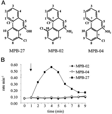 MPB Dependent Iodide Efflux In CFTR CHO Cells A Chemical Structure