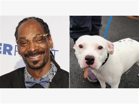 Got to Love Snoop Dogg; Offers to Adopt Dog Named After Rapper | Oak ...