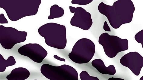 Light Purple Cow Print Wallpapers Wallpapershigh