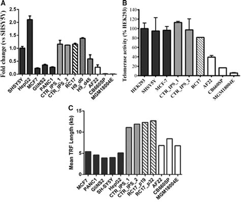 Telomere Analysis The Image Shows The Telomere Profile Revealed By A