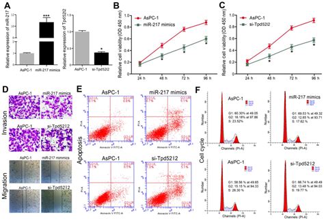 MicroRNA 217 Inhibits Cell Proliferation Invasion And Migration By