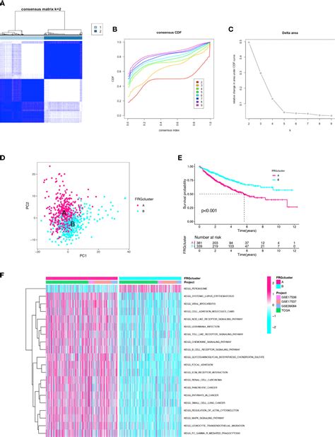 Frontiers Establishment And Validation Of A Ferroptosis Related