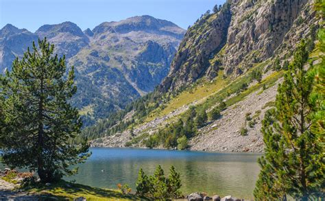 Tresors Del Parc Nacional D Aig Estortes I Estany De Sant Maurici