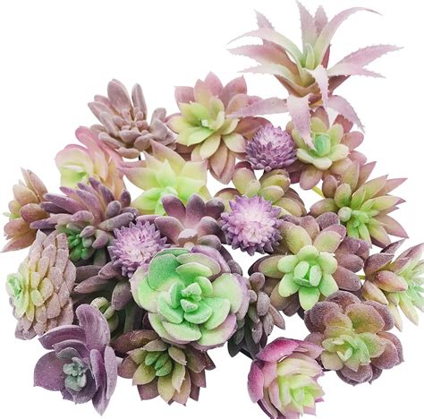 Amazon Woohome 25 PCS Artificial Succulent Plants Purple Fake