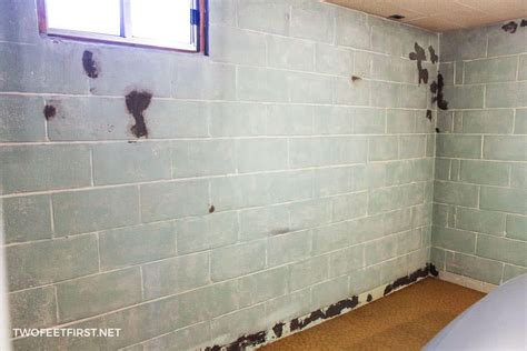 Painting Cinder Block Walls in a Basement | Or re-paint them | Cinder block walls, Decorating ...