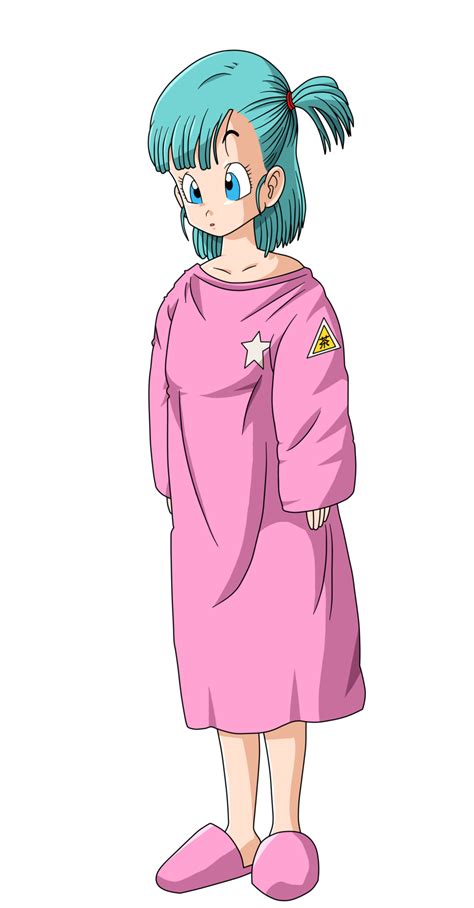 Bulma Pijama Dragon Ball Dragon Ball Artwork Anime