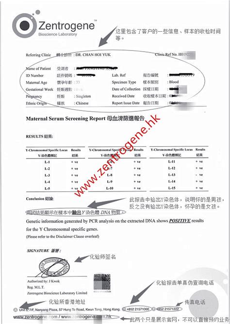 香港验血报告单怎样看孕妈须知 香港zentrogene检测中心香港大z化验所【官网】