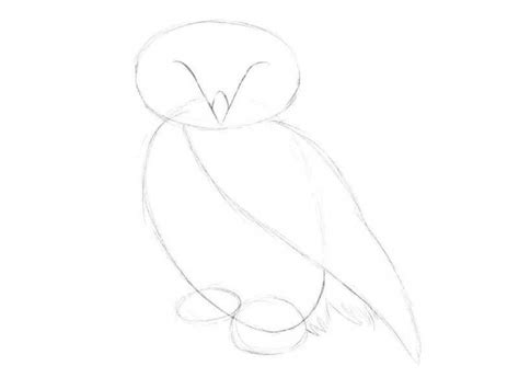 How to draw an owl with a pencil step-by-step drawing tutorial