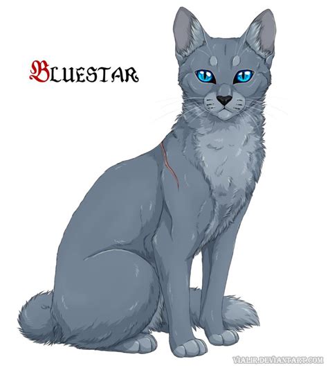 Warrior Cat Drawings Bluestar