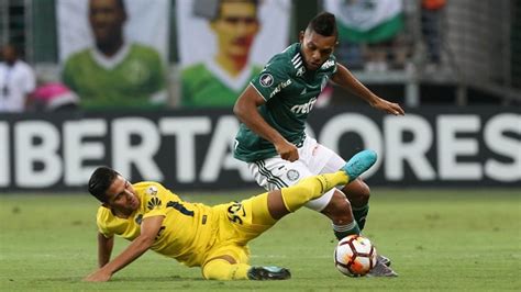 Palmeiras Empata O Boca Juniors Pela Libertadores Portal Morada