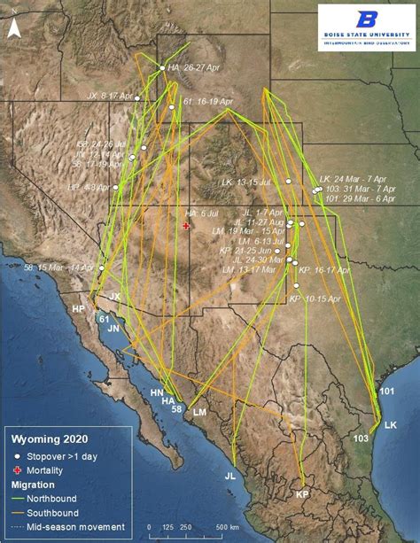 Details of Long-billed Curlew migration to and from Wyoming in 2020 ...