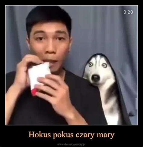 Hokus Pokus Czary Mary Demotywatory Pl