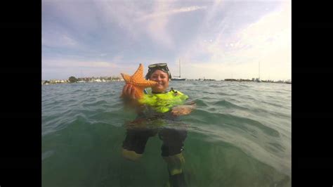 Snorkeling At Peanut Island Phil Foster Park Riviera Beach Fl Youtube